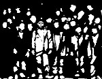 the woman image