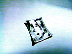 the woman image