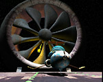2002-Nature, picture 24