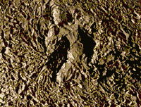 the loam