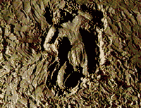 the loam