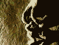 the loam